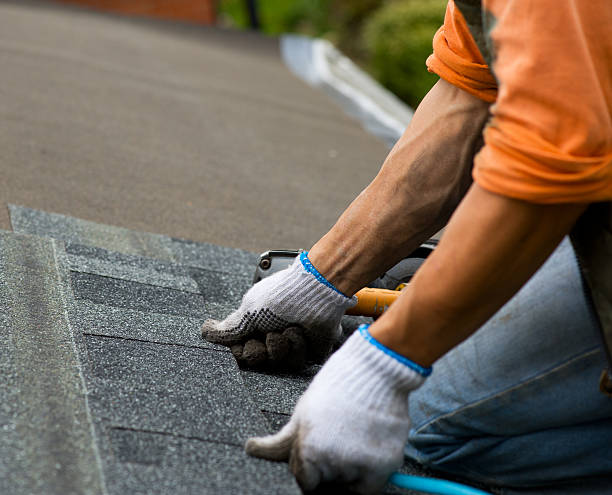 Best Roof Gutter Cleaning  in Lockport, LA