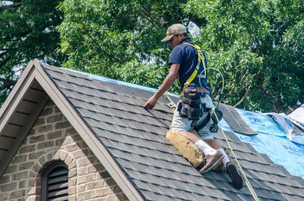 Roof Gutter Cleaning in Lockport, LA